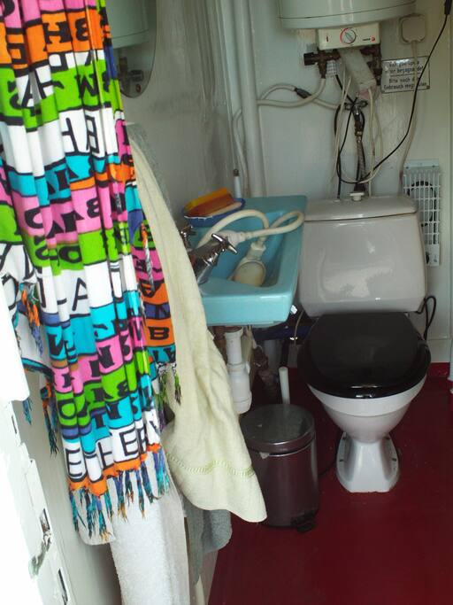 toilet with shower