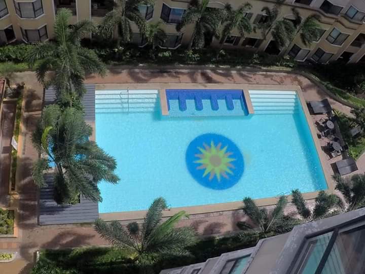 An outdoor swimming pool is viewed from above, featuring a sun design on the bottom. Surrounding palm trees provide greenery, while lounge chairs are placed along the side for relaxation. The pool area is framed by a landscaped garden, contributing to a serene environment.