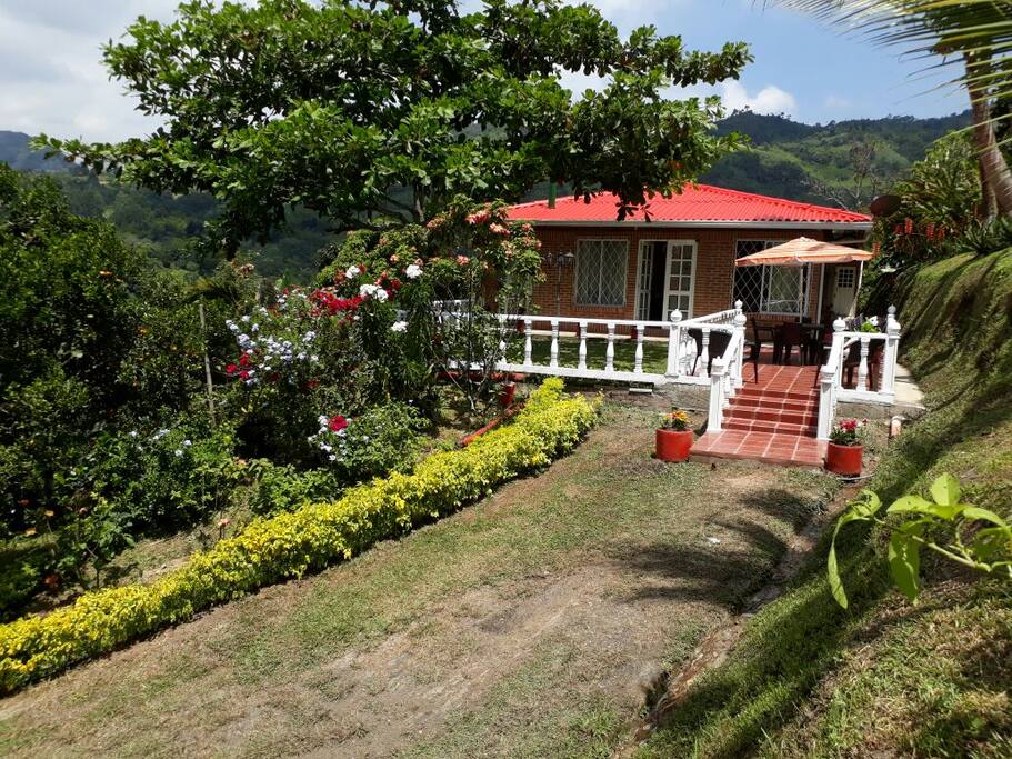 VISTA FRONTAL