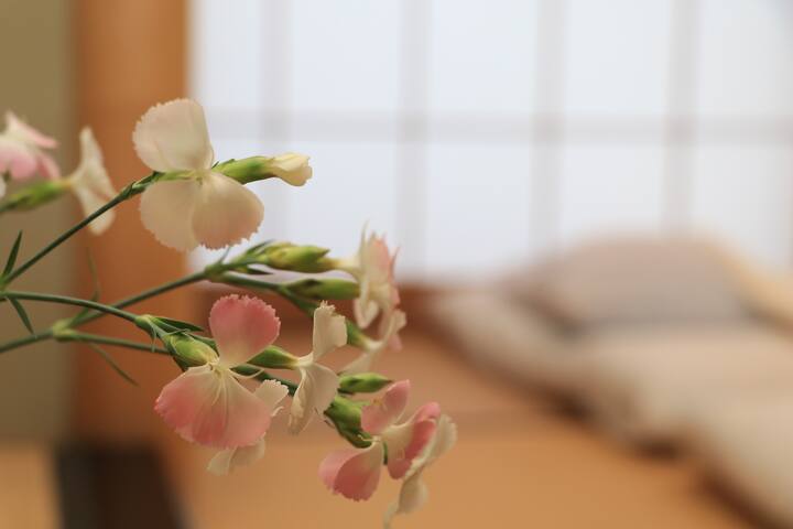 400-year-old Ryokan at Nakasendo - group up to 4