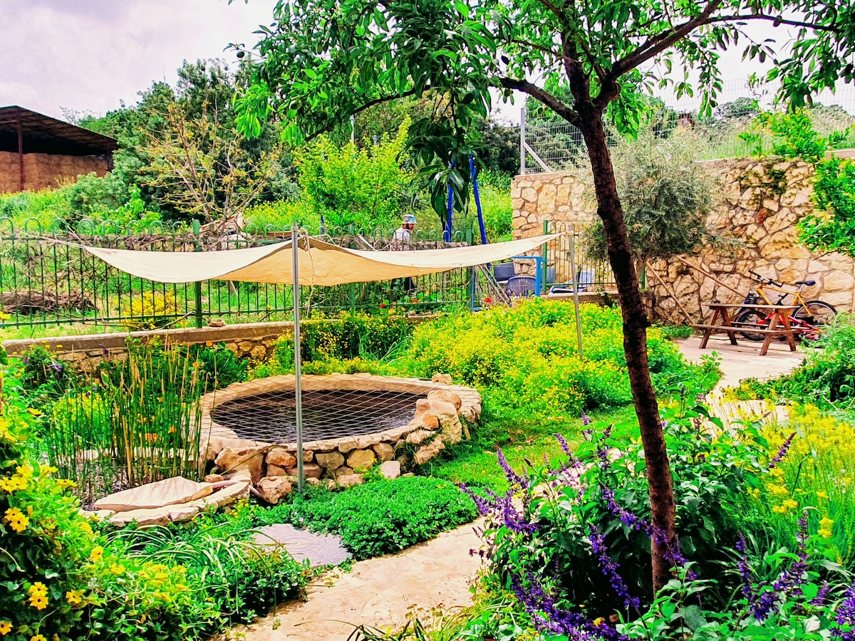 A lush garden area features a circular stone water feature surrounded by vibrant greenery and colorful flowers. A shaded seating area is visible under a canvas awning, while a rustic picnic table is placed nearby, providing a serene outdoor space.