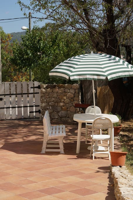 Un repas sous le figuier