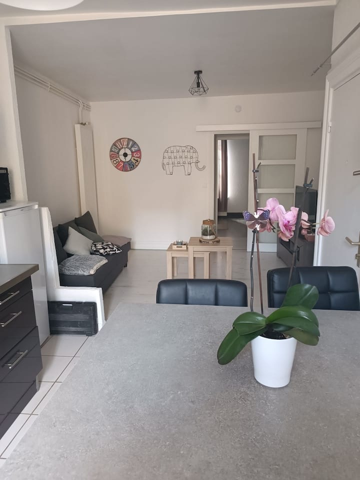 Appartement  Centre Ville, Stationnement Gratuit. - Pont-à-Mousson