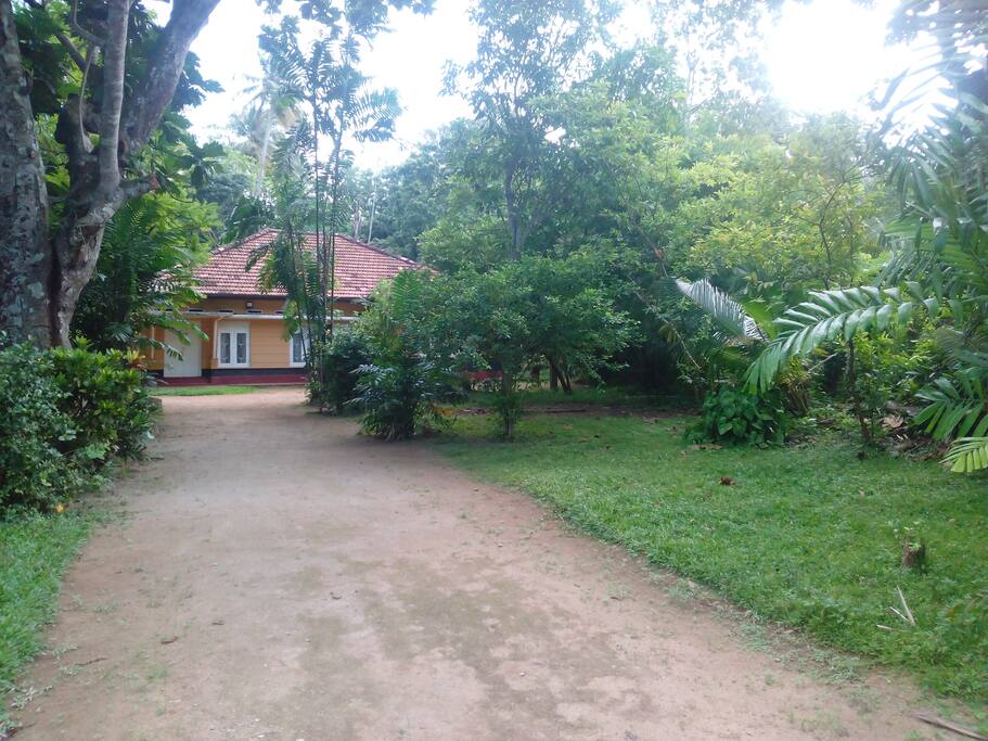 Garden Area