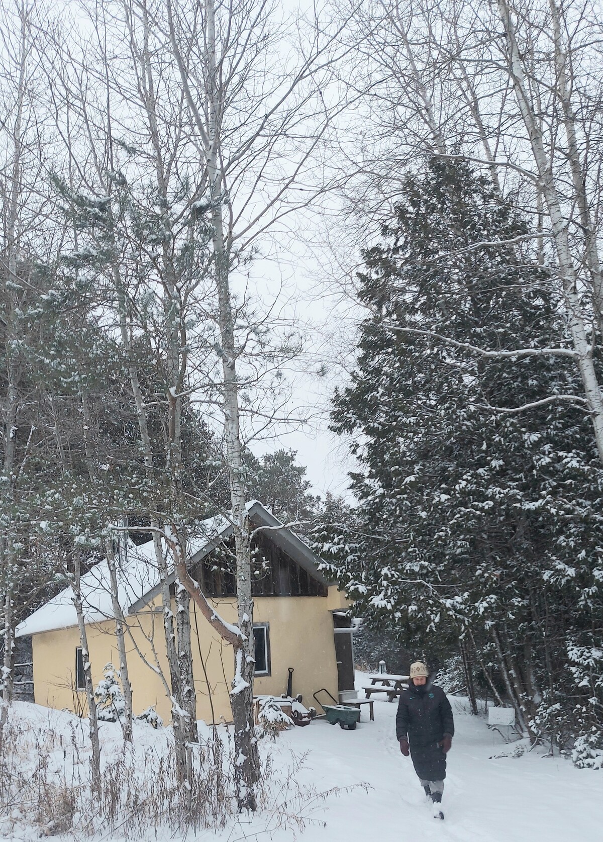 Forest Cabin Cabins for Rent in Erin, Ontario, Canada Airbnb