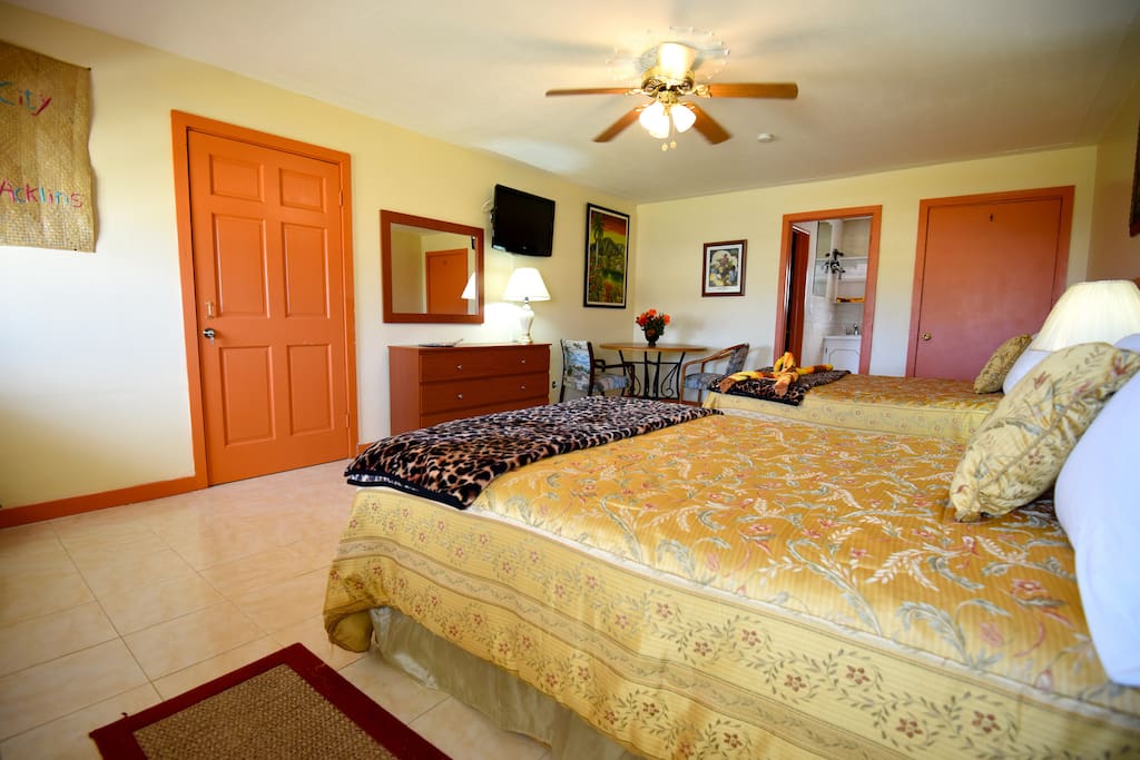 Spacious Queen Bedroom