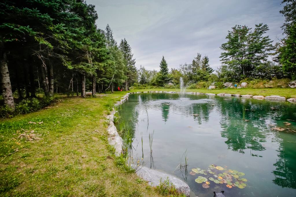 Coin de détente