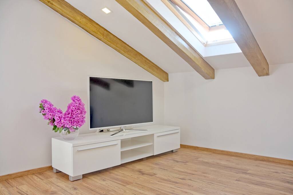 SAT-TV