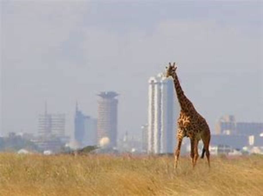 Nairobi National Park