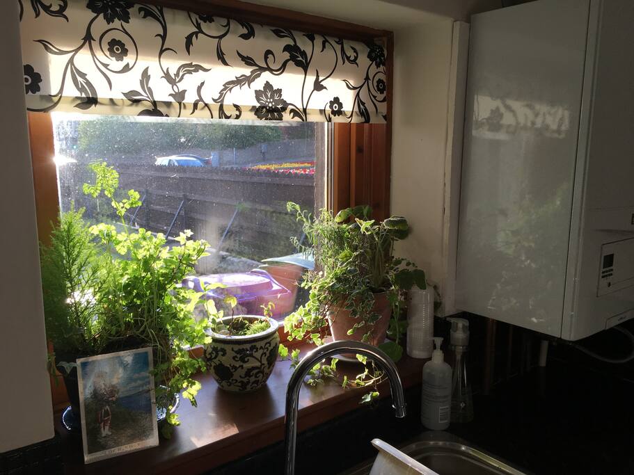 West facing Kitchen