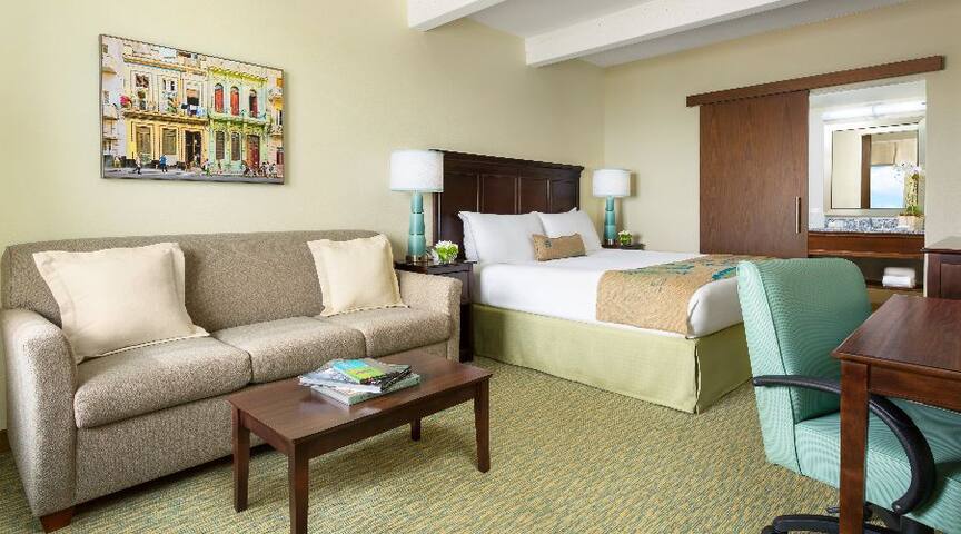 STANDARD KING HEARING ACCESSIBLE