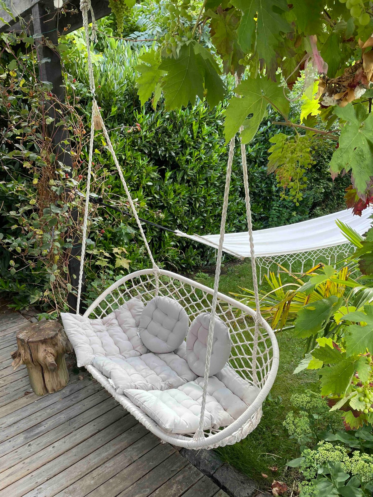 A hanging swing seat is positioned among lush greenery in the garden, featuring comfortable cushions. Vines and foliage frame the area, creating a serene outdoor spot. A glimpse of another seating arrangement is visible in the background, contributing to the inviting outdoor atmosphere.