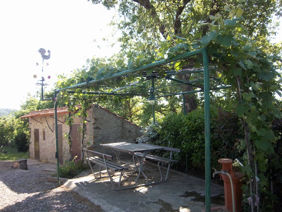 giardino nell'ingresso principale