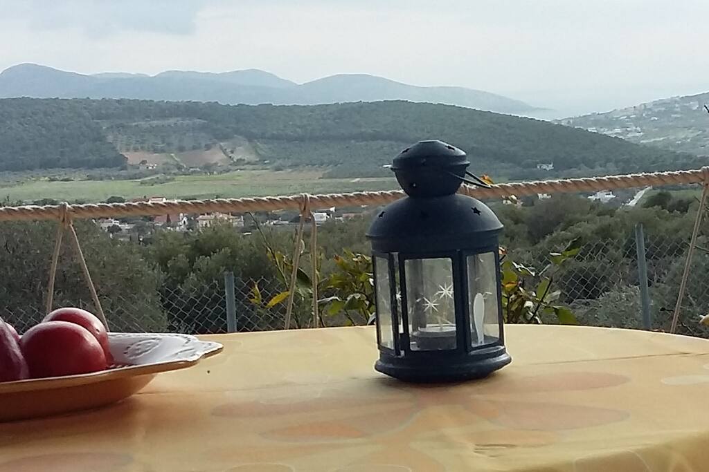 Relaxing view