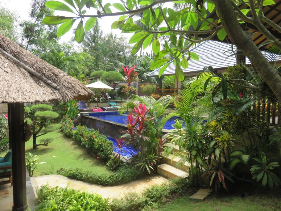 Vieuw of the garden