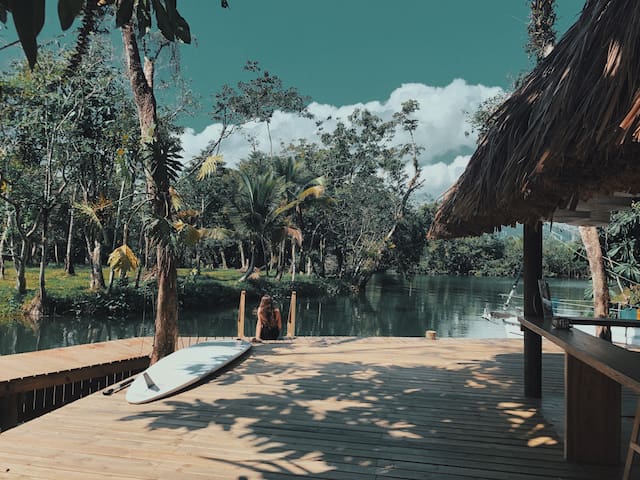 Double Occupancy Tree House Hostel Beds