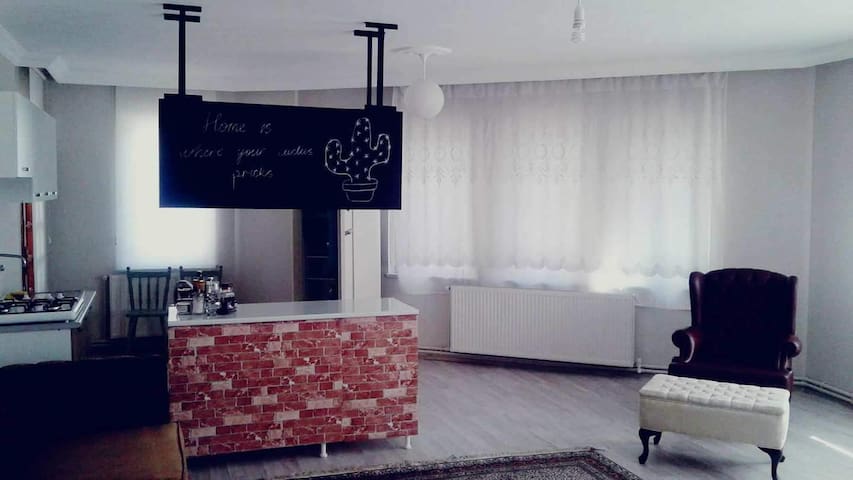The whole apartment is yours!