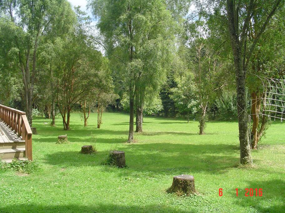arboles