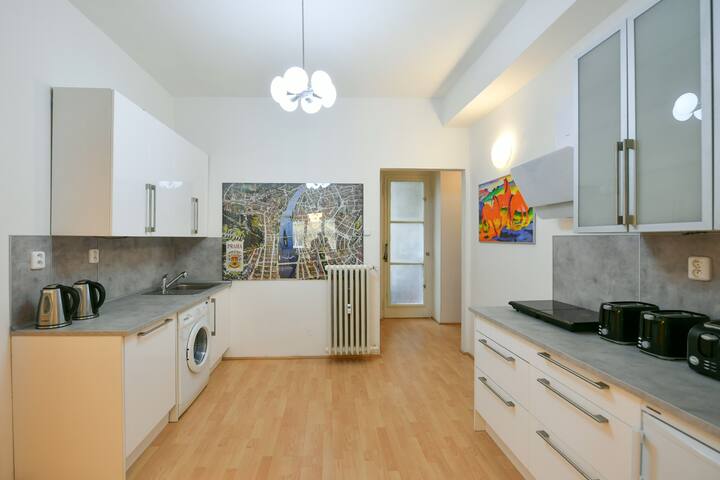 Big cozy apartment in the centre (5 BDRS + 3 BTHR) gallery image 5