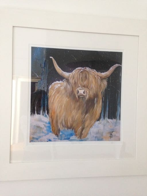 A wee bit of Scotland - The Highland Cow!