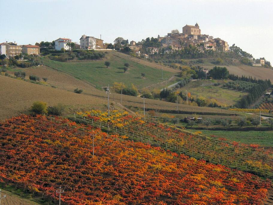 panorama