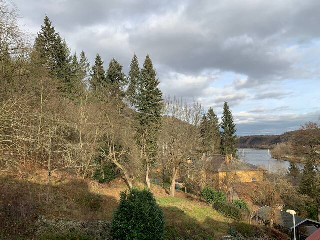 Cosy garden house gallery image 5