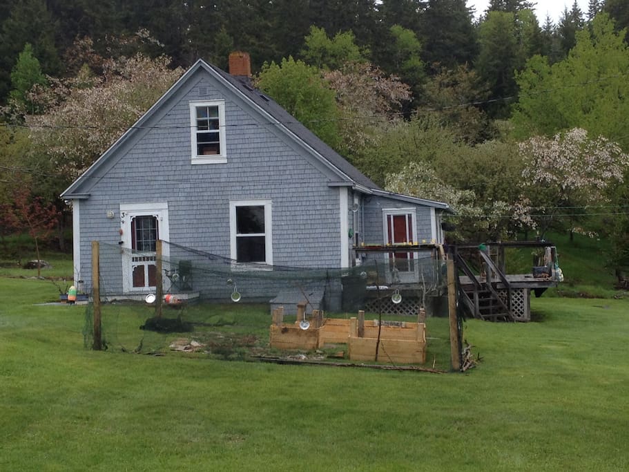 This is the cottage, seen from the road with the sunroom & deck just to the right. Garden (with deer fence) in front. The property extends in the back to where you can see apple trees & woods in behind the cottage. There is also a small brook running through the property behind the cottage.