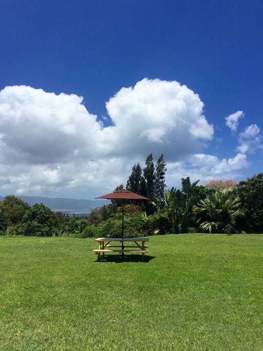 Front yard with picnic table
