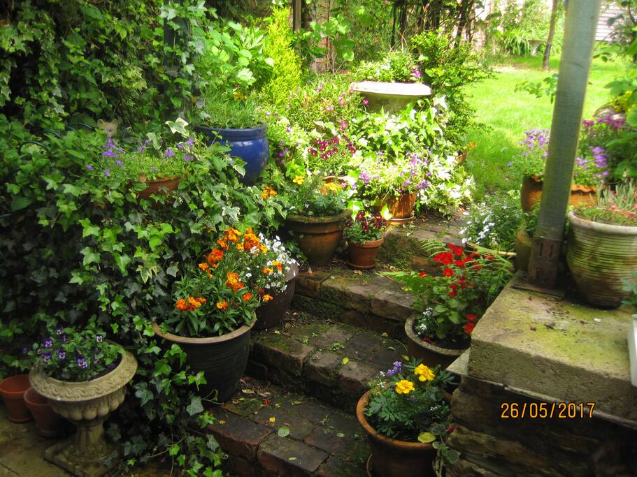 Steps to back garden