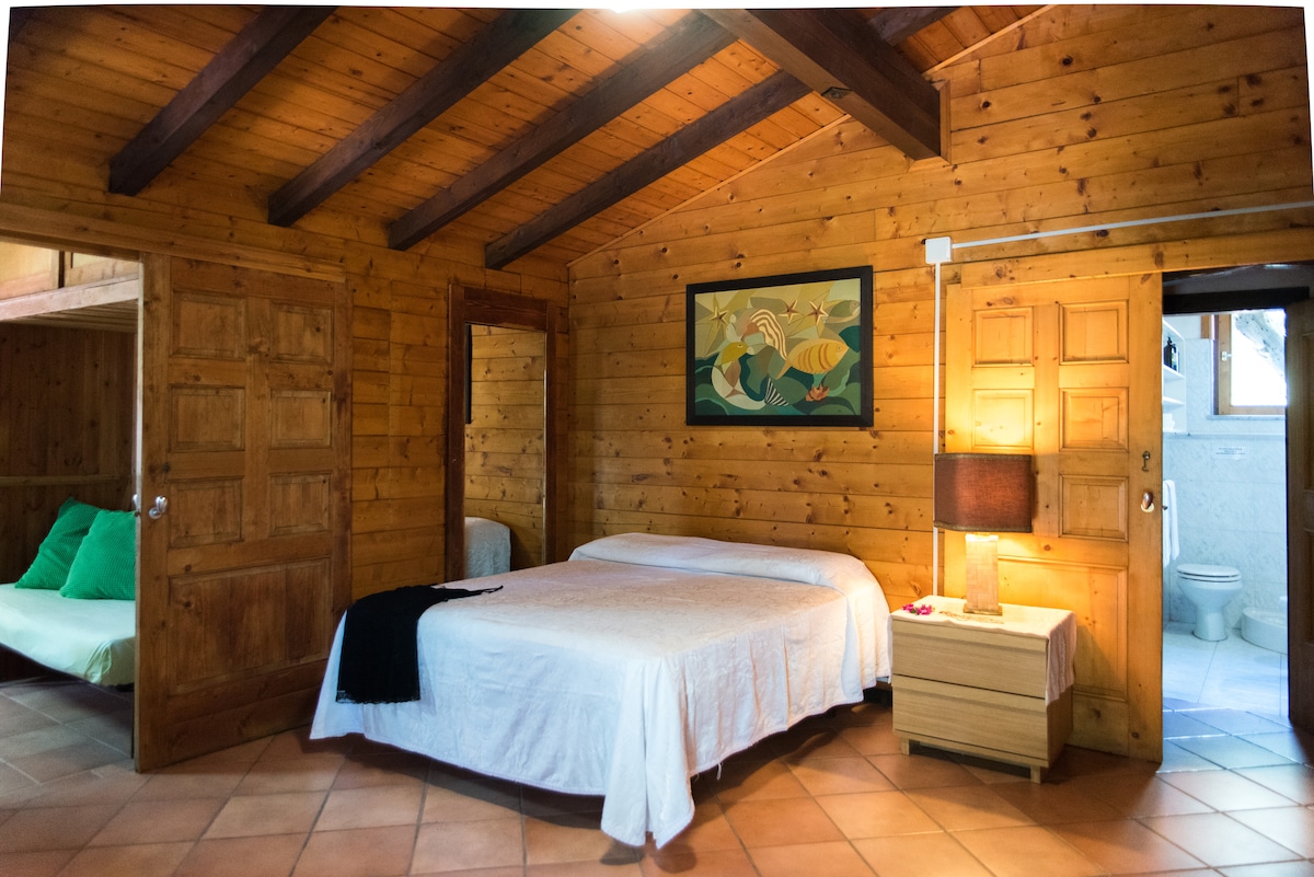 A wooden interior bedroom features a spacious bed with a white linen cover. Natural wood paneling adds warmth, complemented by a tropical-themed wall art. A bedside lamp provides soft lighting, and a mirror is positioned nearby. An adjoining area with a bathroom is partially visible.