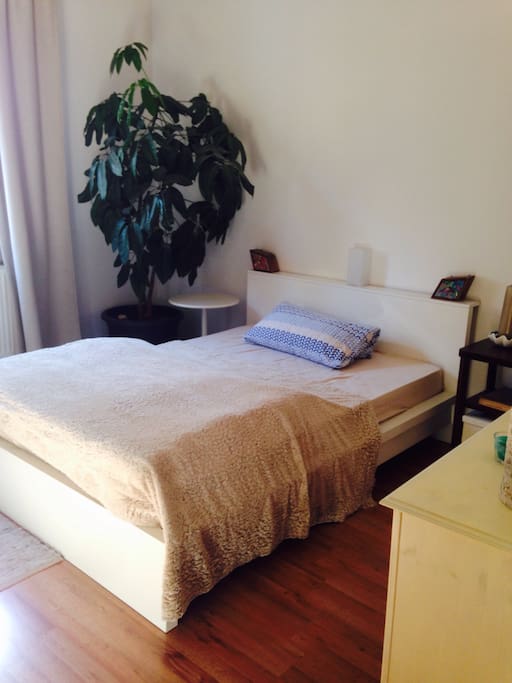 Das zu vermietende Schlafzimmer mit Doppelbett, Kleiderschrank und Schreibtisch