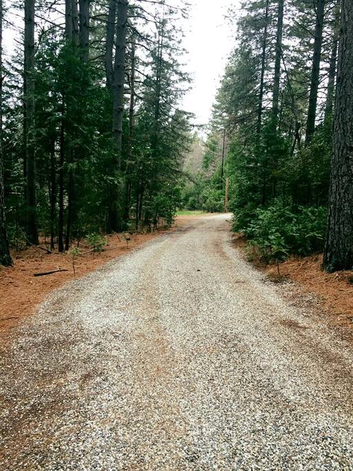 road down driveway