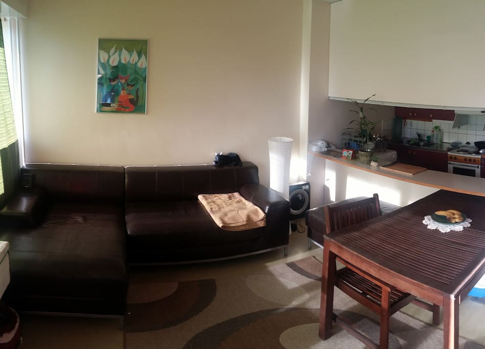 Living room from balcony