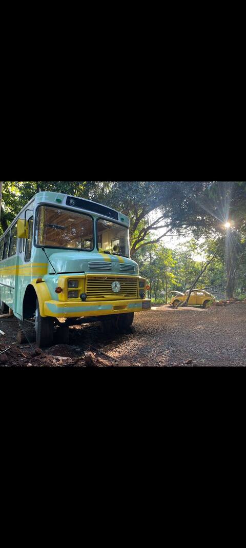 La Casa Bus