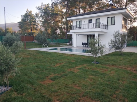 Villa with private pool in nature