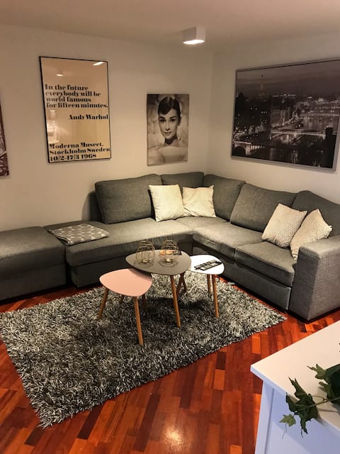 A beauteful apartment near Reykjavík