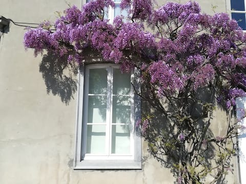 Studio ebdiep: Staying on the water