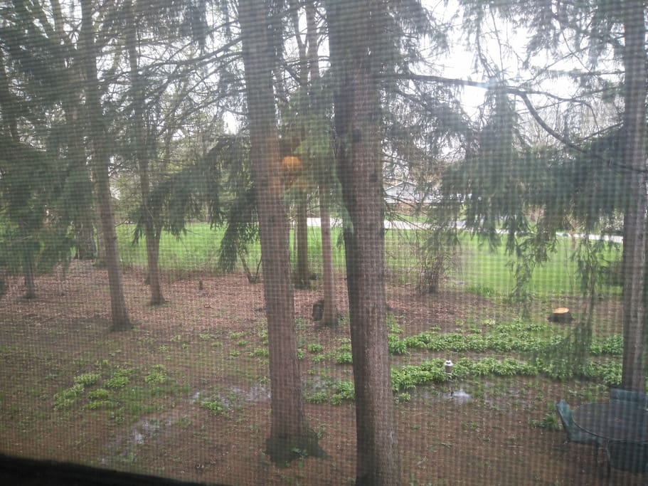 View from bedroom window
