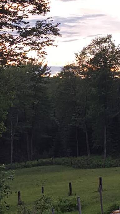 Pasture Area