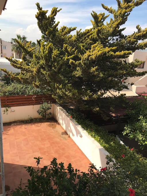 Back yard/ terrace