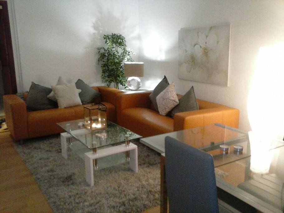 Salon. Living room