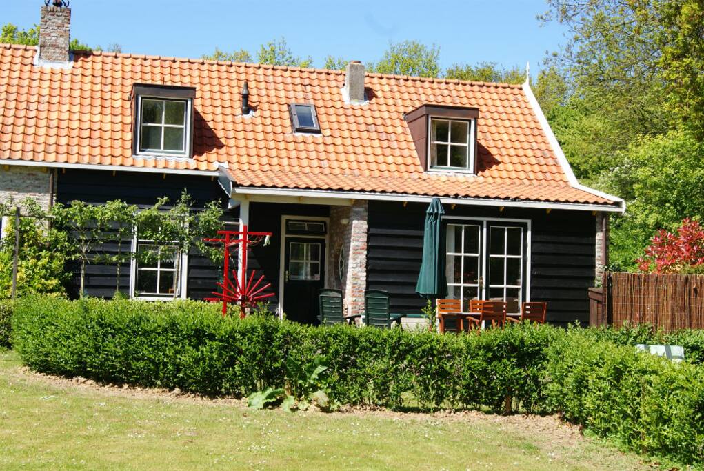 Achterkant Roodborstje