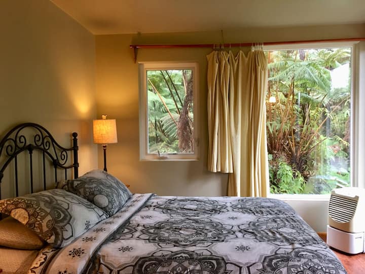 Our affordable B&B rooms give you the feel of being at home. Each room offers big windows overlooking the rainforest and allowing natural sunlight into your room. Every B&B room offers 1 queen bed, allowing maximum occupancy of 2.