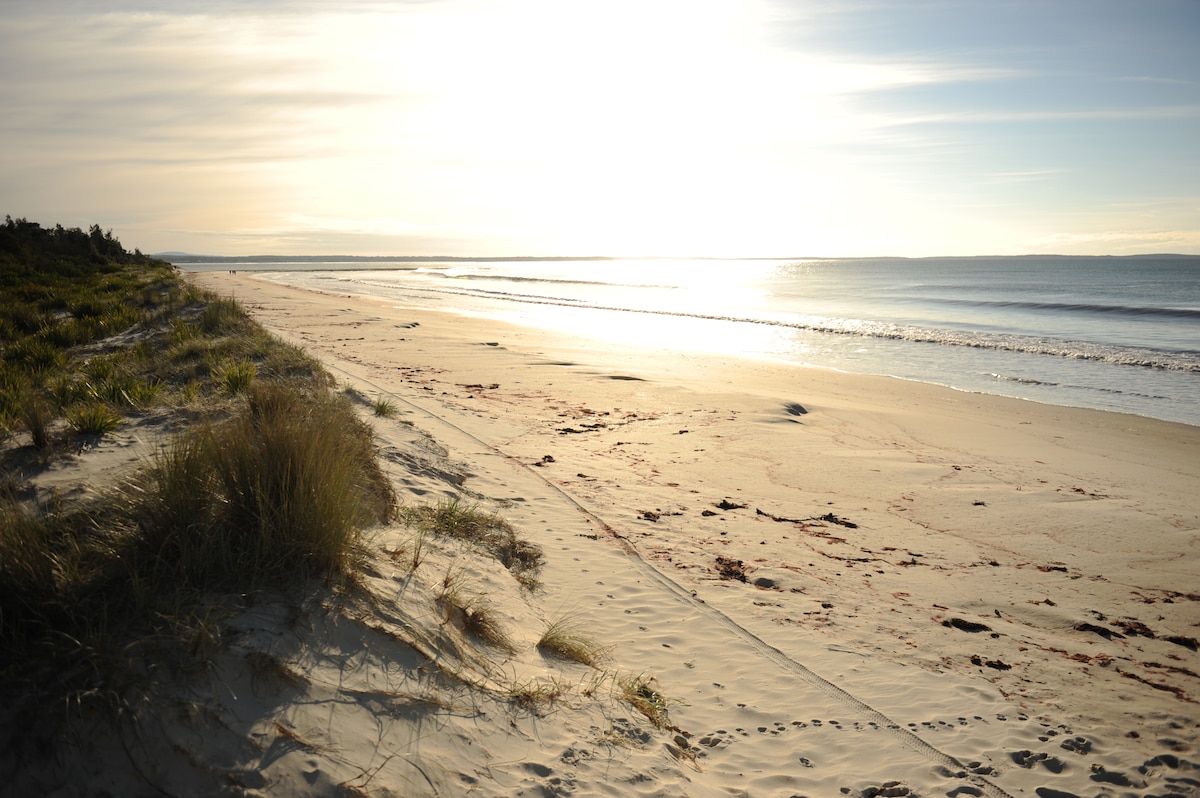 The expansive Collingwood Beach is showcased, with golden sands stretching along the shoreline. Gentle waves lap at the beach, reflecting soft sunlight. A natural landscape of grasses and shrubs borders the beach, creating a serene environment for relaxation and enjoyment.