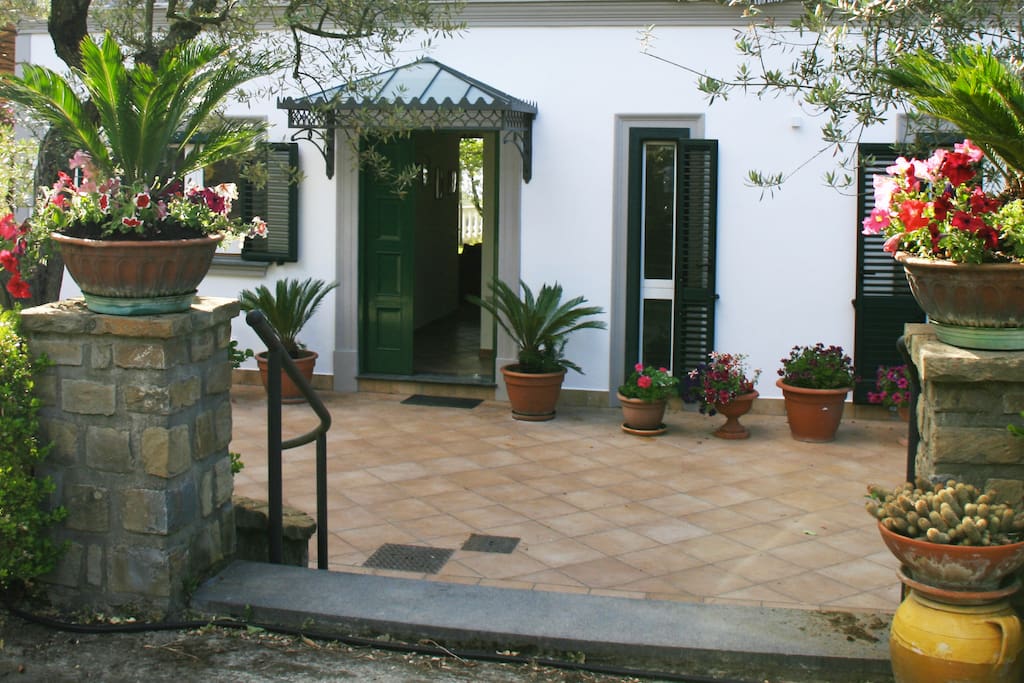 ingresso