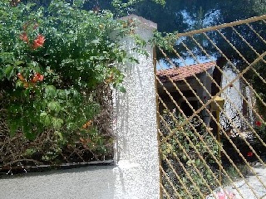 Cancello