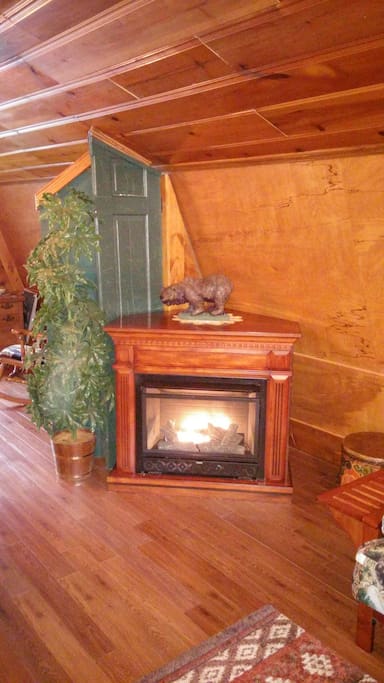 Vent Free Propane Fireplace in Living Room (Not to be used while sleeping)