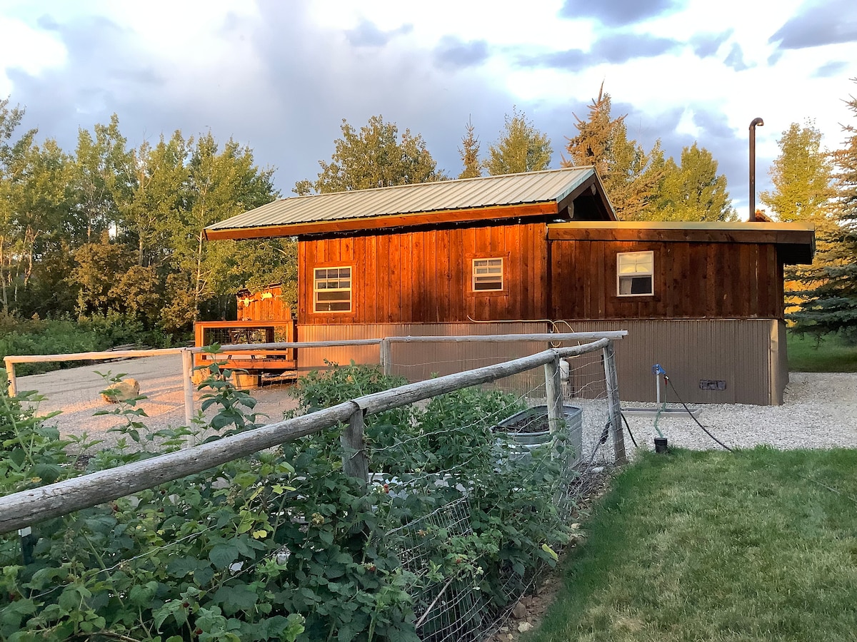 The cabin's exterior showcases a rustic wooden facade with a metal roof, surrounded by greenery. A small picnic area is visible in front, with a table and chairs. A fence frames the garden area, enhancing the peaceful outdoor setting.