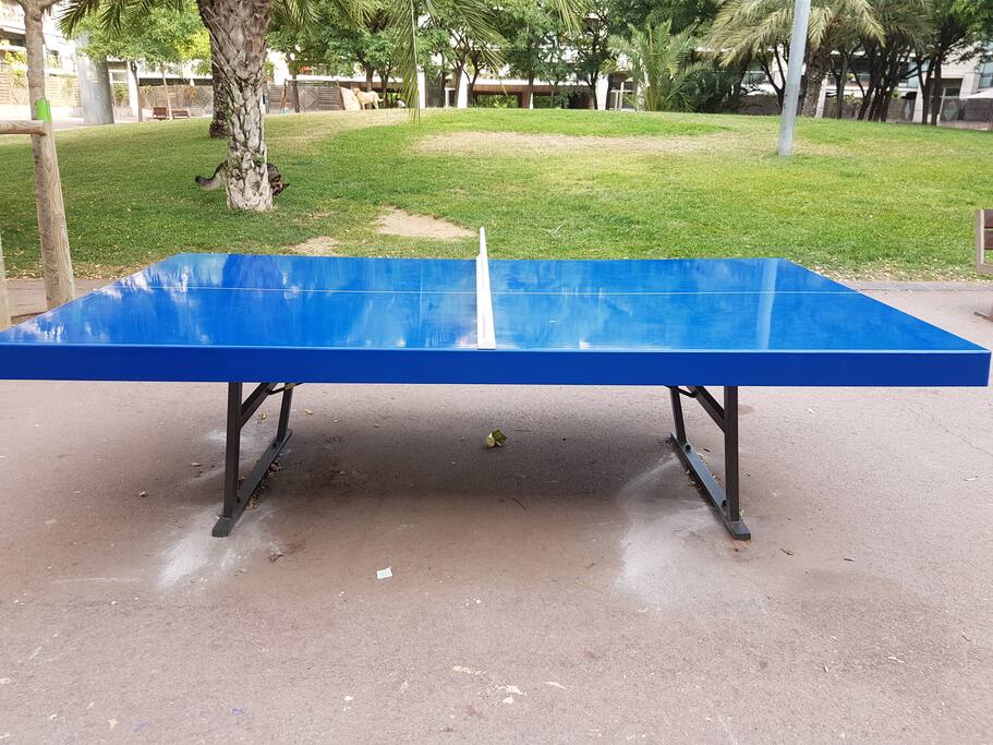 pin pon en el mismo jardin,