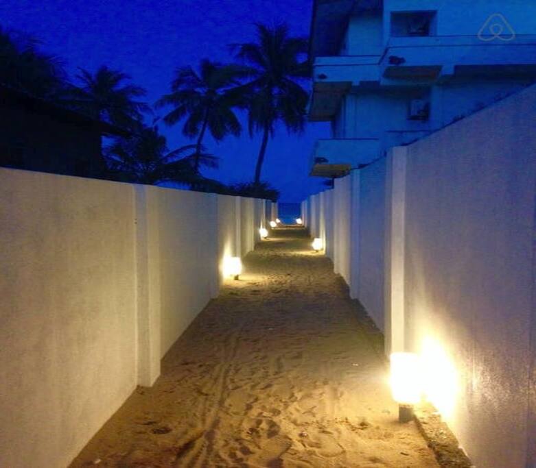 Pathway to beach at night